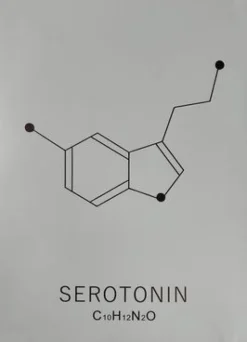 Sygeplejebutikken Gaver Til Sundhedspersonalet*Plakat Serotonin