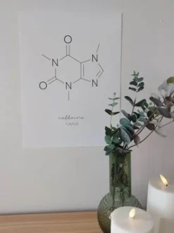 Sygeplejebutikken Gaver Til Sundhedspersonalet*Sjov koffein molekyle plakat